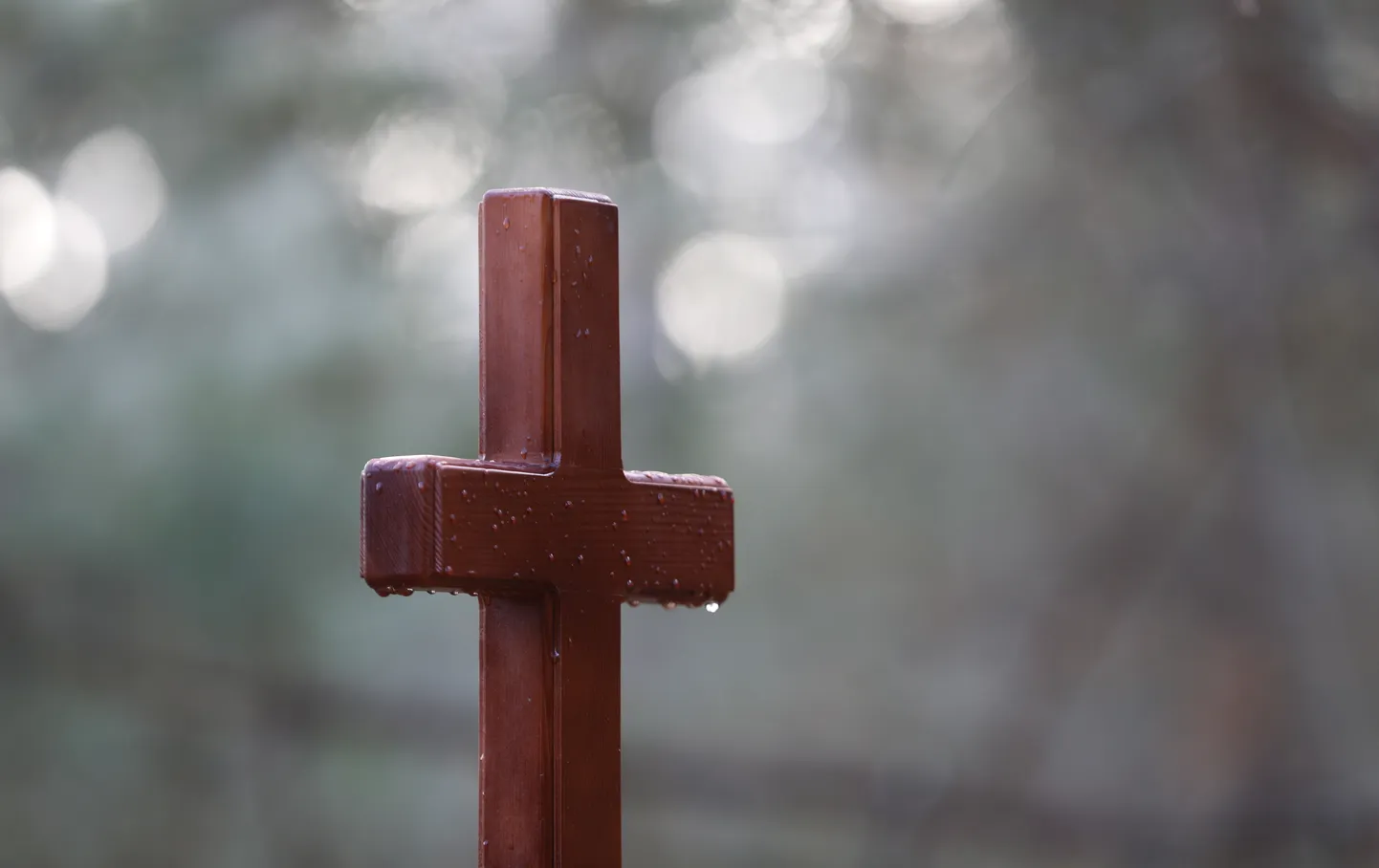 Крест на кладбище. Иллюстративное фото