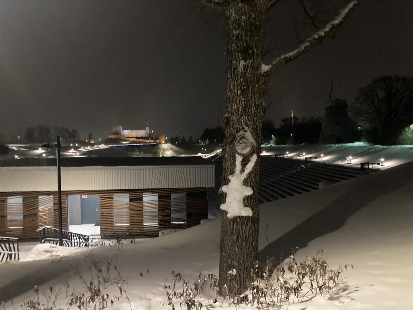 Rakvere Vallimäel ronib puu otsas lumejänes.