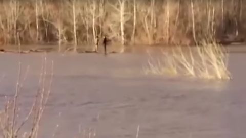Видео: двое мужчин отправились в путешествие на бревне после попытки сделать на нем селфи