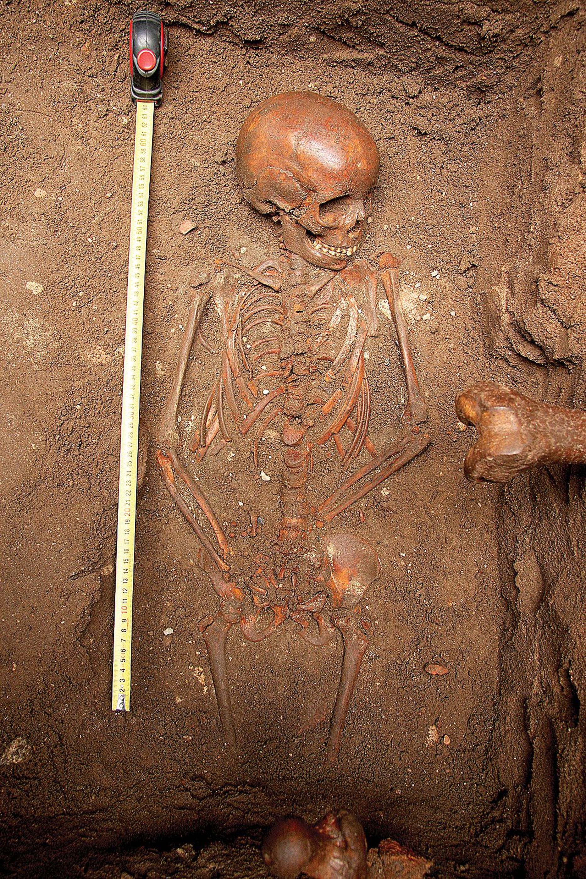 Скелет ребенка 4-6 лет. Захоронение периода средневековья. Иллюстративное фото