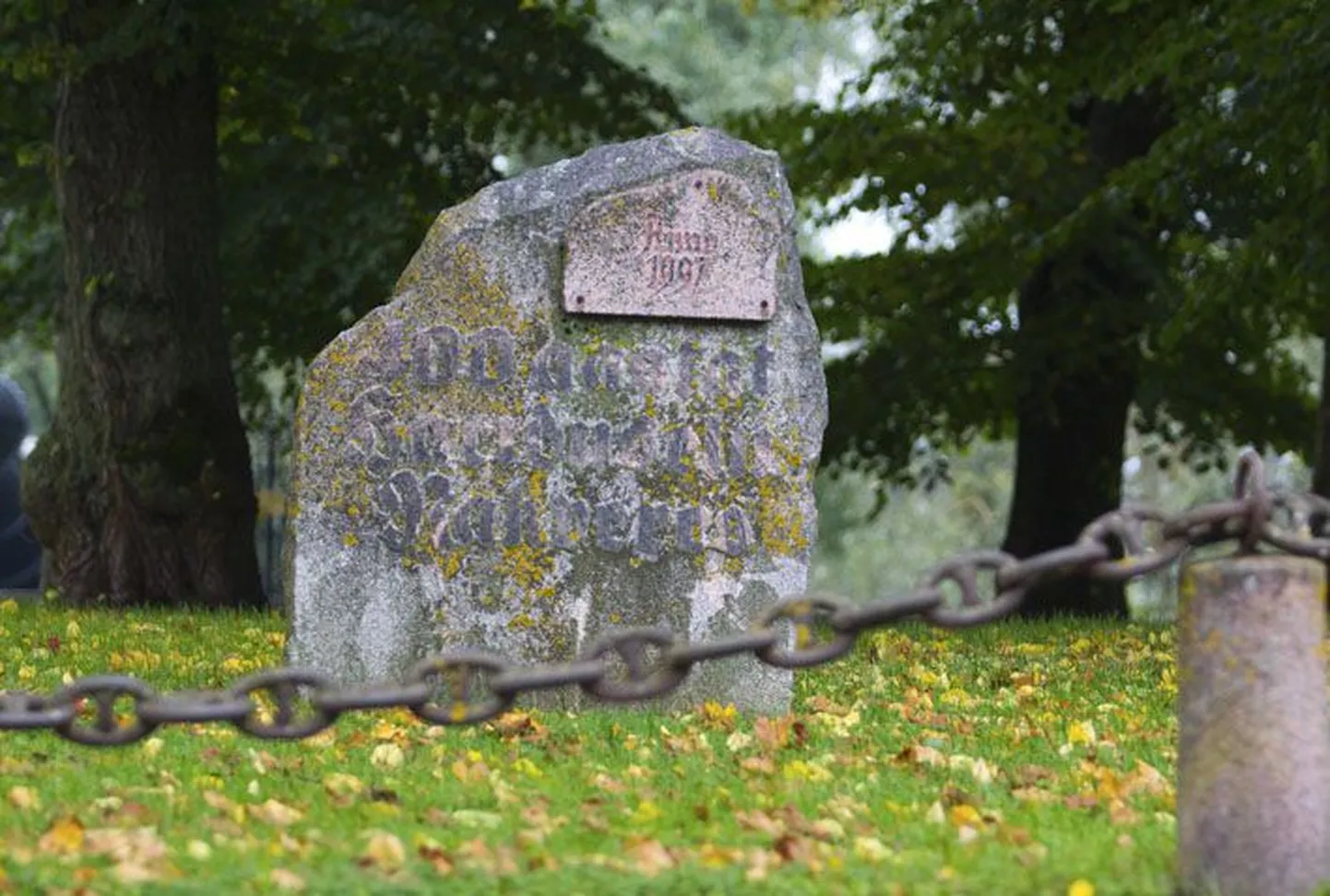 Pikal tänaval Kolmainu kiriku kõrval seisev hariduskivi avati 15 aastat tagasi.