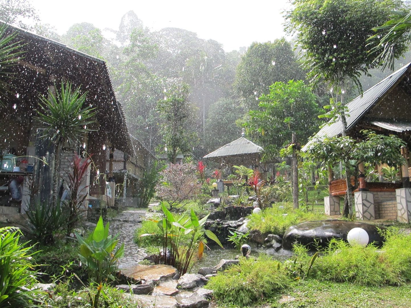 Nagu oavarrest: vihm muudab Bambuskülas lämbe õhu taas hingatavaks.