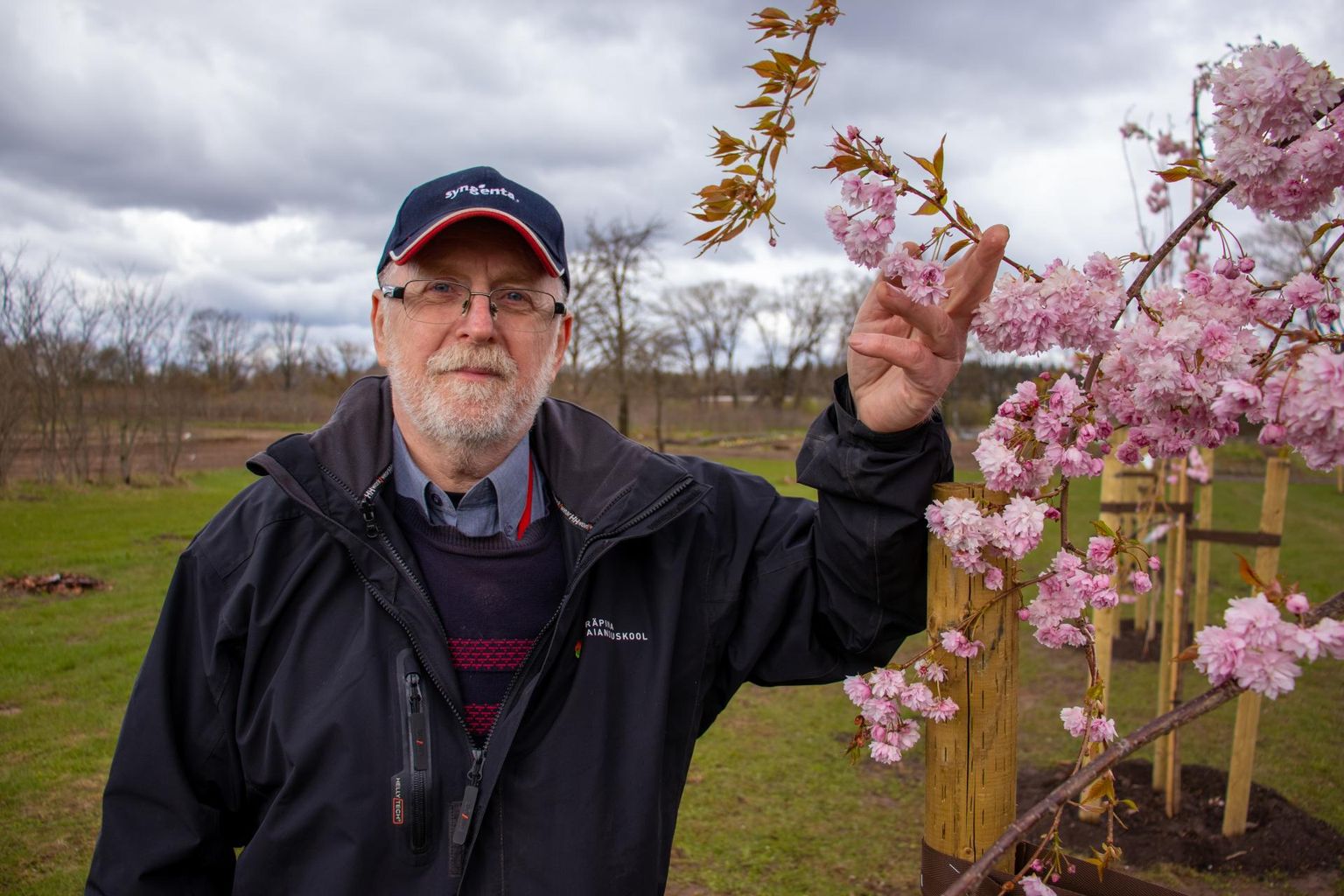 Räpina aianduskooli õppemajandi juht Urmas Roht tõi Jaapani kevade Eestile lähemale.