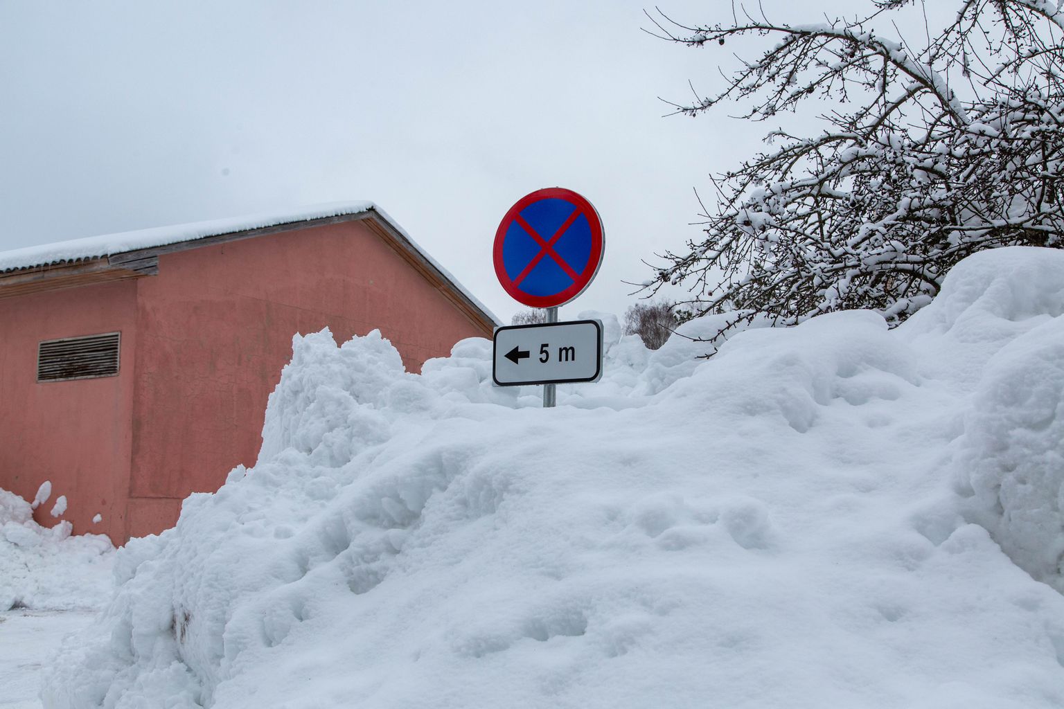 Talvepealinn Otepää lume puuduse üle kurta ei saa. Lumehunnikud on kohati enam kui 3 meetrit kõrged ning tänavatel liiklemine piiratud nähtavuse ja ruumipuuduse tõttu raskendatud.