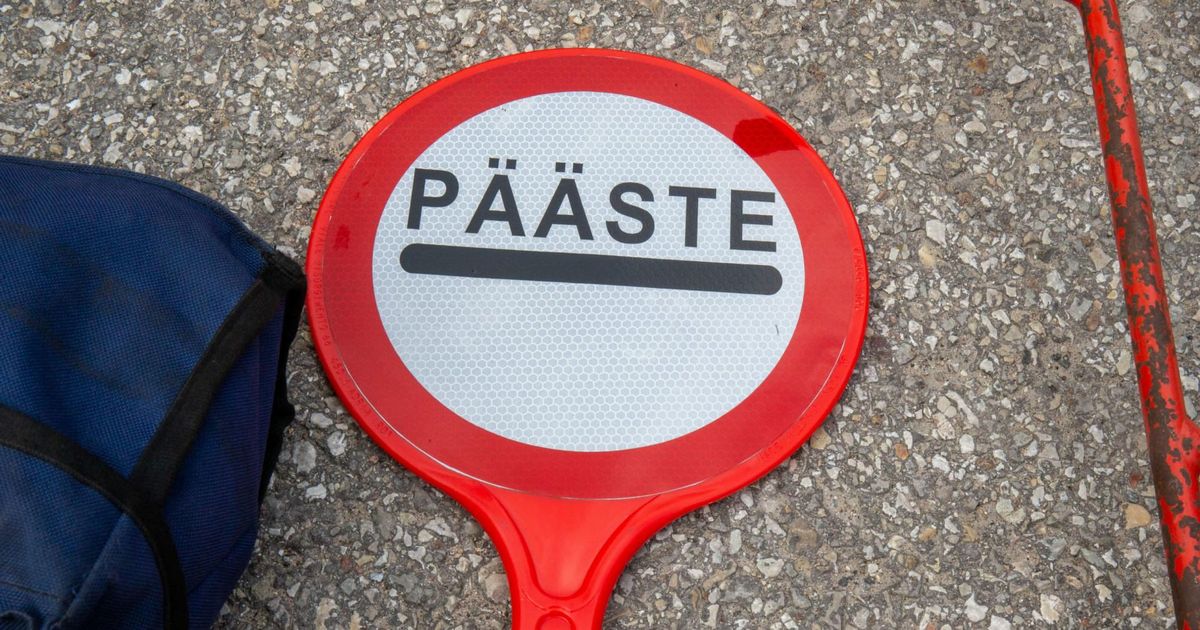 Põlvamaal juhtus mitu õnnetust metsloomadega