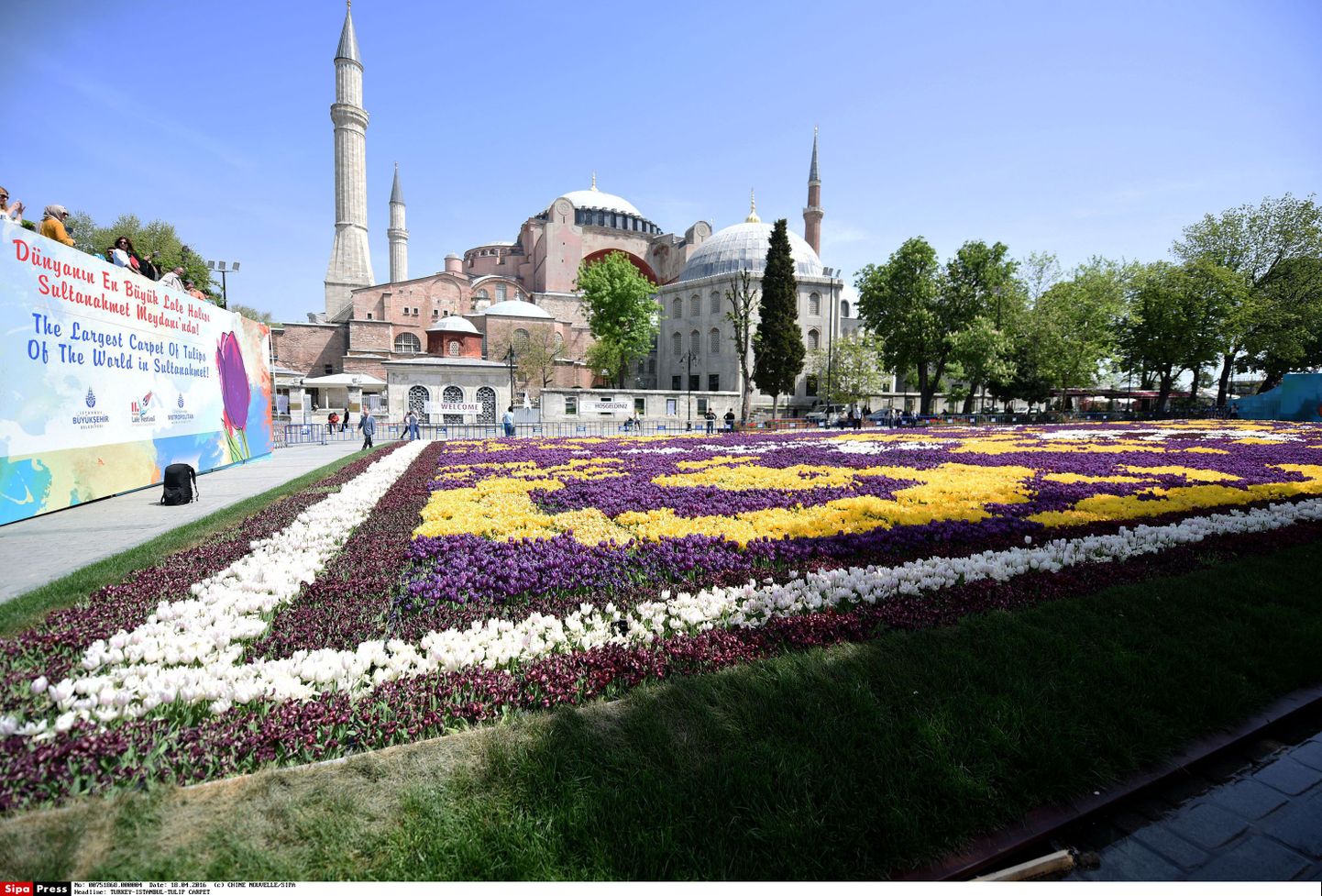 Hagia Sophia Istanbulis