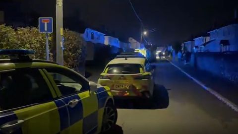 Девятимесячный ребенок погиб в результате нападения собаки: фейерверк вызвал у животного панику