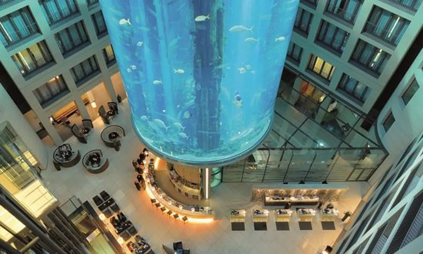 AquaDom.