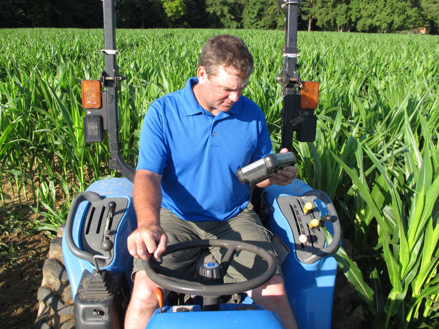 USA farmer üllatas abikaasat 50. pulma-aastapäeval maisipõllupildiga