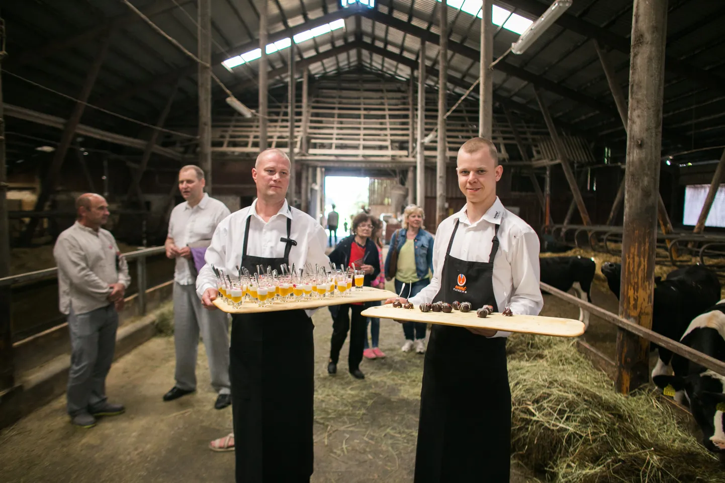 Avatud talude päev 2015