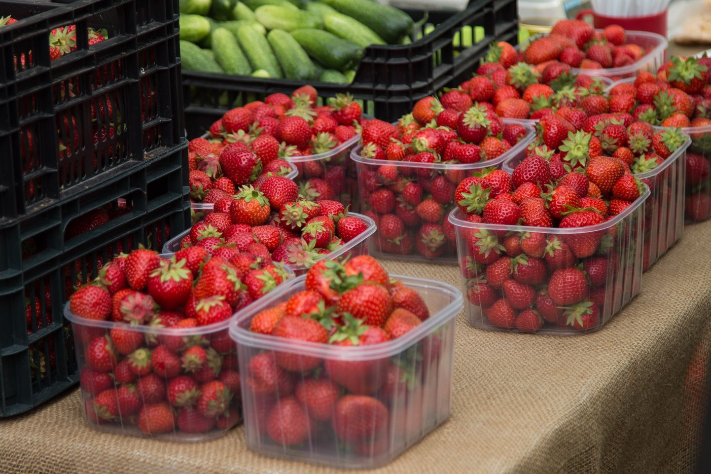 Harjumaa maasikad jõuavad poodidesse ja turule ilmselt juuni keskpaigas.