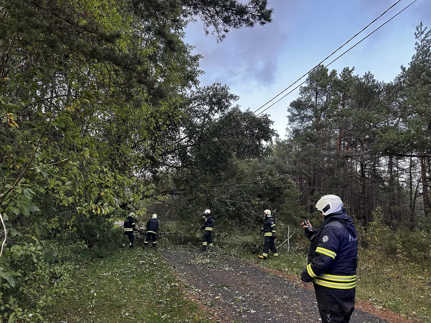 Selle sügise esimese suurem torm murdis Kihnus puid nii teedele ja elektriliinidele ja kohalikud päästjad said kahe päeva jooksul 19 väljakutset.
