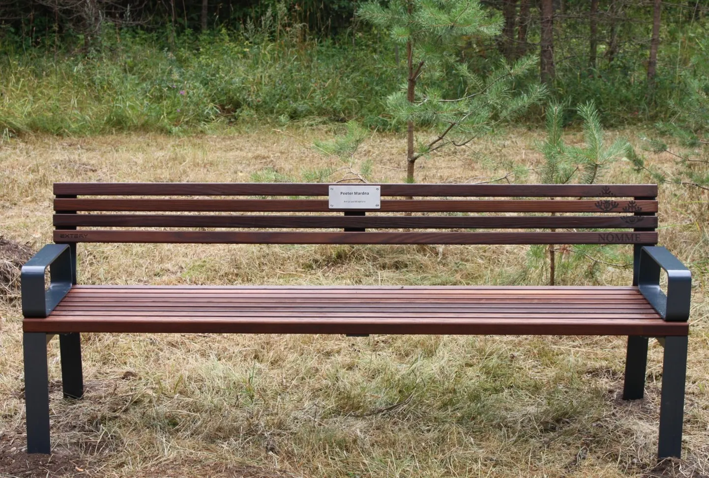 Pinke, kus häid mõtteid mõlgutada ja mälestusi heietada, pole kunagi liiga palju.