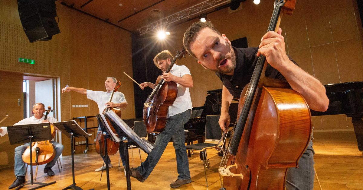 Galerii: tšellofestival sai avalöögi
