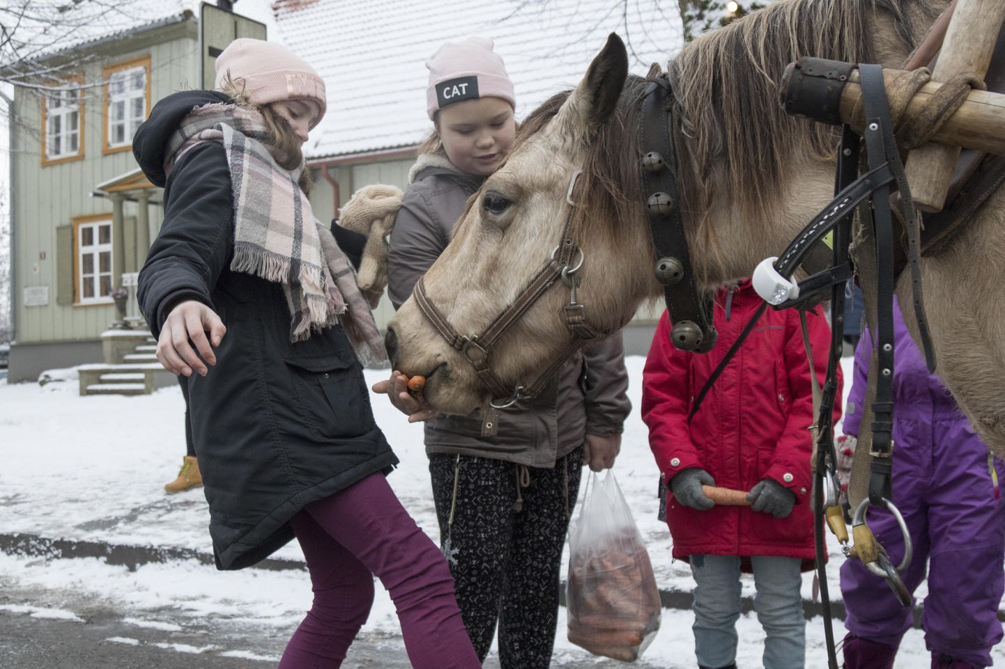 Priit-Kalev Partsi Eesti maatõugu hobuse kaarikul oli palju lustisõitjaid. Lastele tegi rõõmu ka suksu paitamine ja porganditega kostitamine.