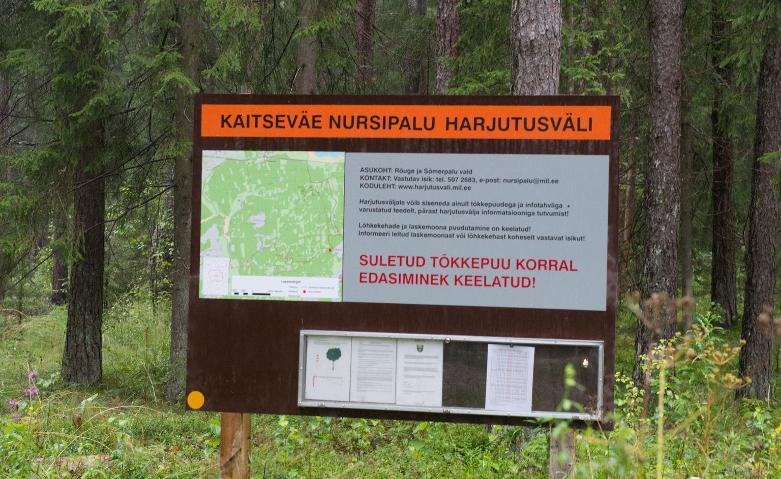 Kaitseväe Nursipalu harjutusväljak. Foto on illustratiivne.