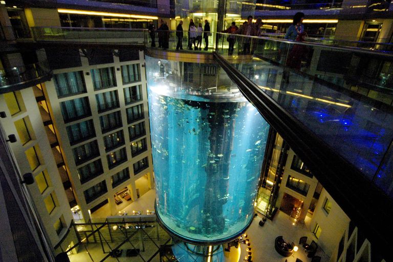 Цилиндрический аквариум в фойе Radisson Blu.