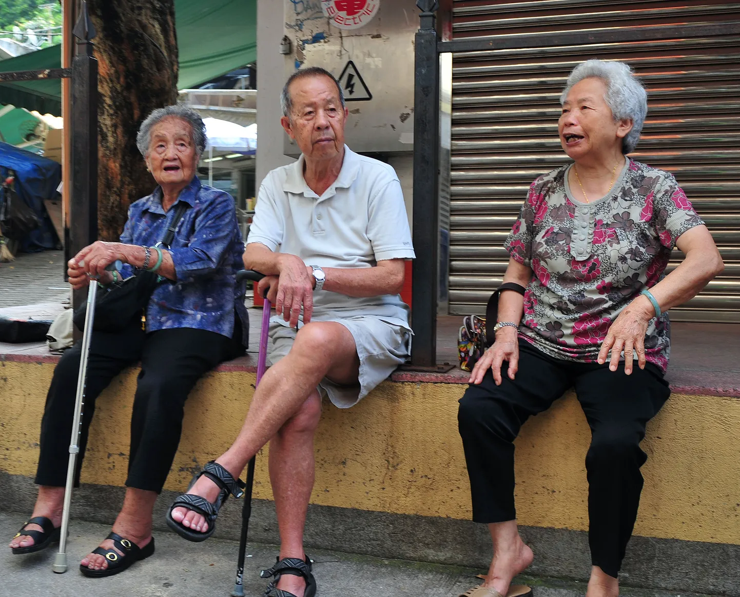 Kongkongi eakad