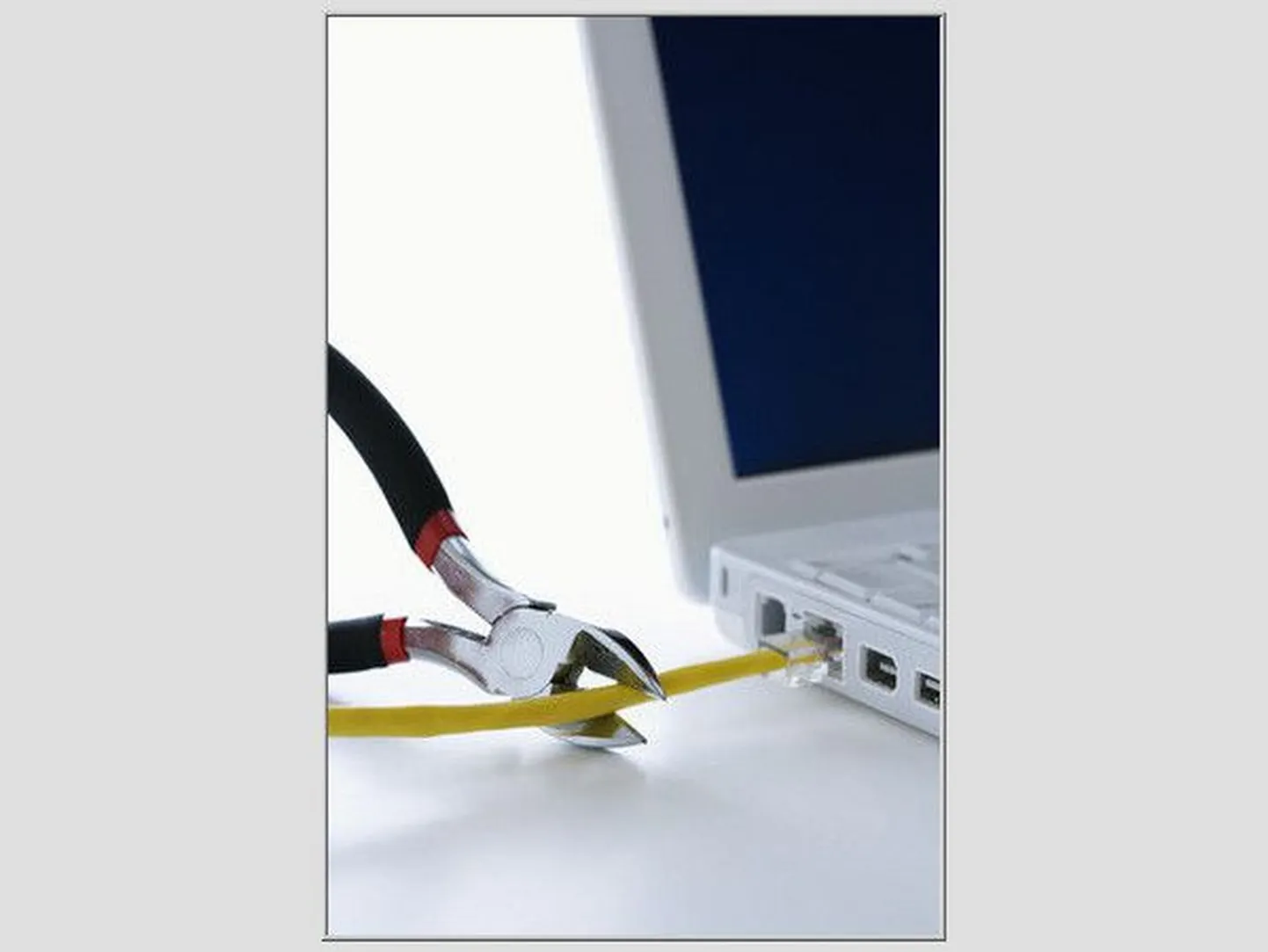 Internetijuhe