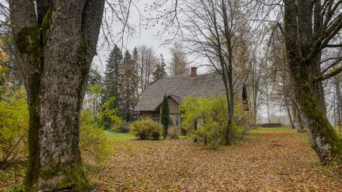AK KIRJANDUSKOOL ⟩ Rein Sepp ja tema Üksiklane