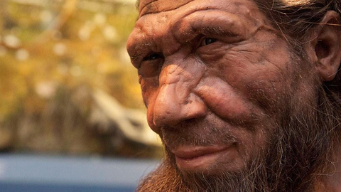 Neandertallaste kohta selgus taas midagi tavatut ja uut