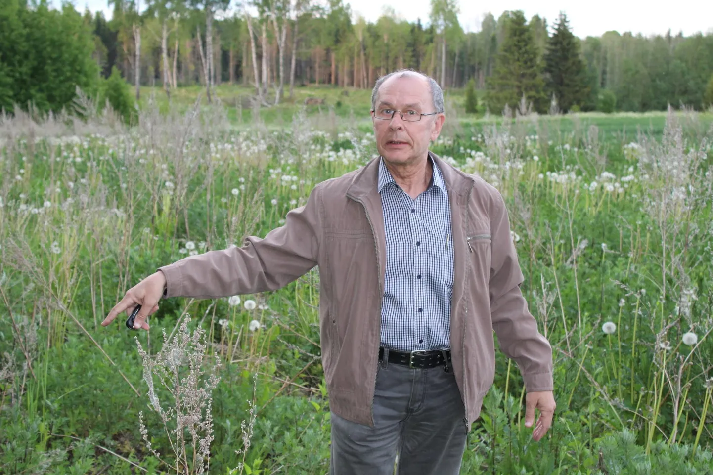 Heiti Riismäe näitab käega kohta, kust hakkab jooksma Karinu IV lubjakivikaevanduse teenindusmaa piir.