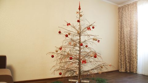 TARK TEADA ⟩ Mida teha, et jõulupuu enne pühi okkaid maha ei viskaks
