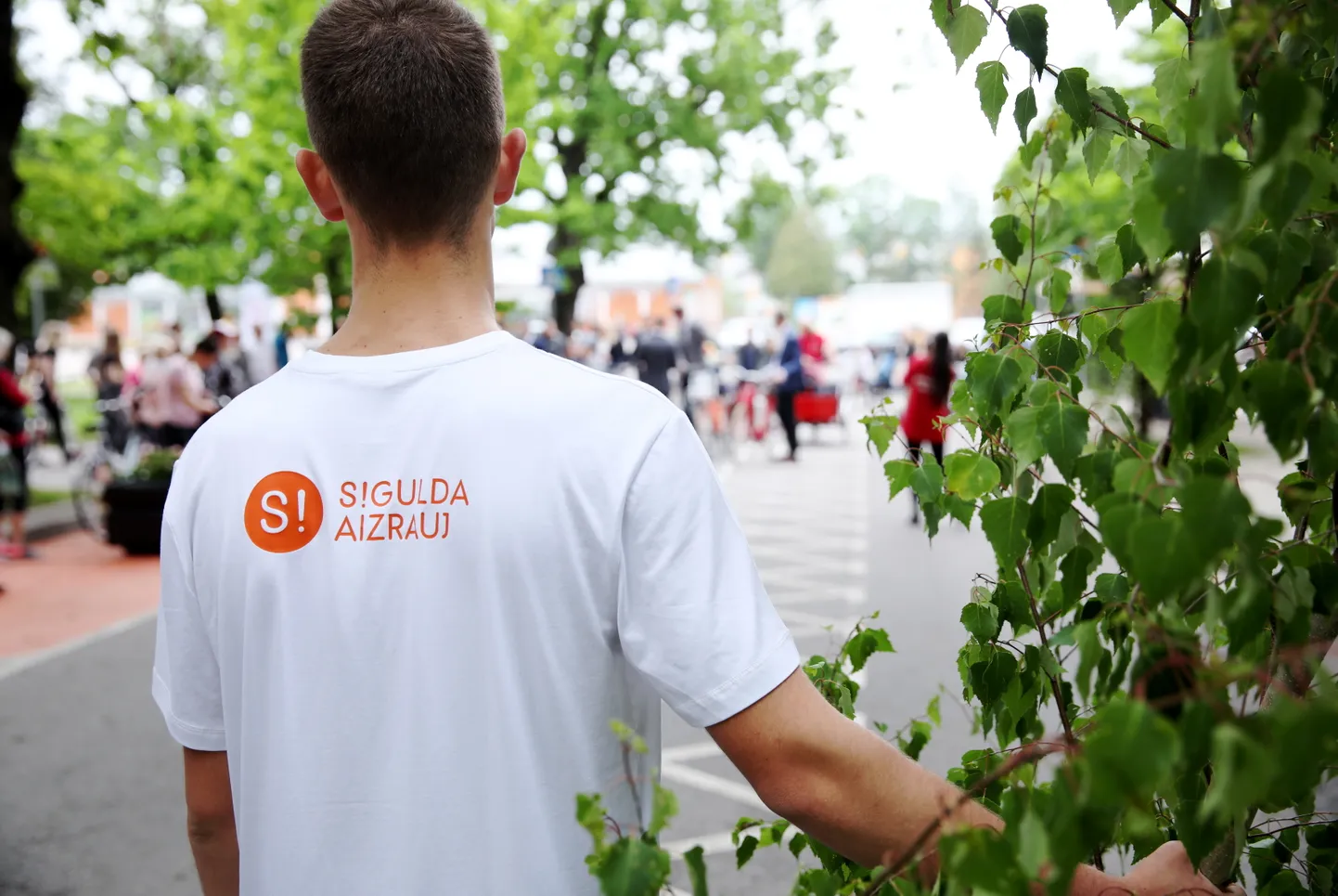 Siguldā, Pils ielā, atklāta Latvijā pirmā veloiela, kas darbosies kā pilotprojekts pilsētas kopējās satiksmes uzlabošanas koncepcijā.