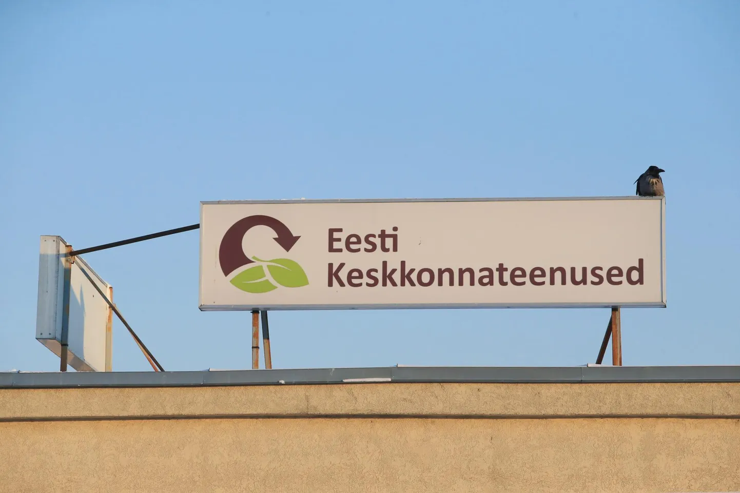 Info Haljala klientide kohta ei jõudnud AS-i Eesti Keskkonnateenused andmebaasi ja seetõttu jäi osa konteinereid Haljalas tühjendamata.