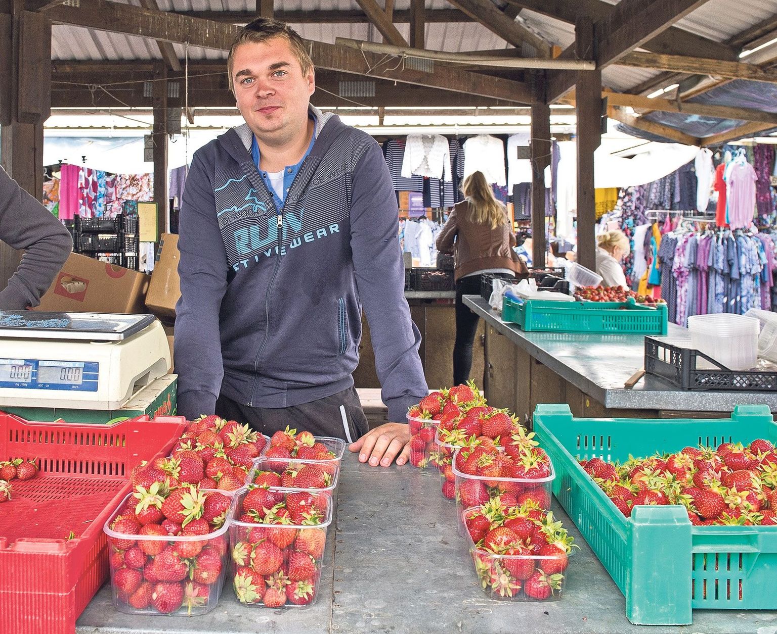 Palgi talu peremees Rivo Peedel käib tavaliselt oma talu toodangut müümas Tallinna Keskturul. Kuna eile oli tal marju vähe,  otsustas ta  maasikad letti laduda hoopis Tartu avaturul.