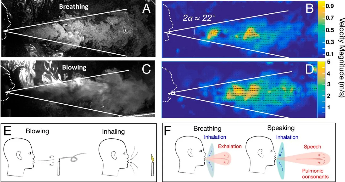 Voolu visualiseerimise hetktõmmis laboris välja hingatud udust paralleelselt laserlehega kahes erinevas hingamisolukorras. (A – D) Rahulik hingamine (A) vastavate voolukiirustega koos värvikoodi ja nooltega (B) ning tugeva puhumisega (C) koos vastava kiirusväljaga (D). Pange tähele puhumisega seotud palju suuremaid kiiruseid. Mõlemal juhul on voolud aga piisavalt pika aja (mõni sekund) jooksul kvalitatiivselt sarnased ja neil on joasarnased omadused. Kõigi piltide vaateväli on üks meeter. (E) Küünla (või mitte) puhumise visand. (F) visand väljahingamise ja sissehingamise kvalitatiivsest kontrastist hingates ja rääkides.