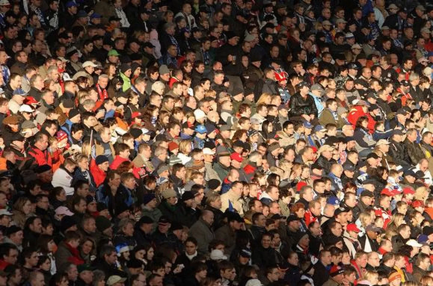 Artikli foto