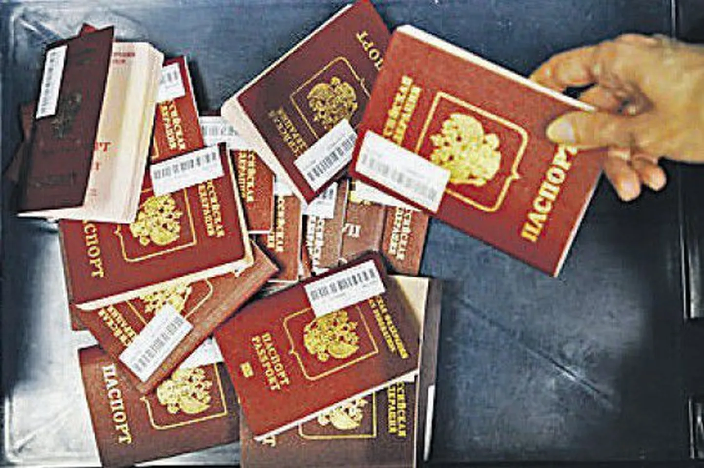 Паспорта граждан РФ.