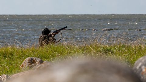 Maaomanik läks jahiseltsiga tülli: kes otsustab, kes eramaal jahib?