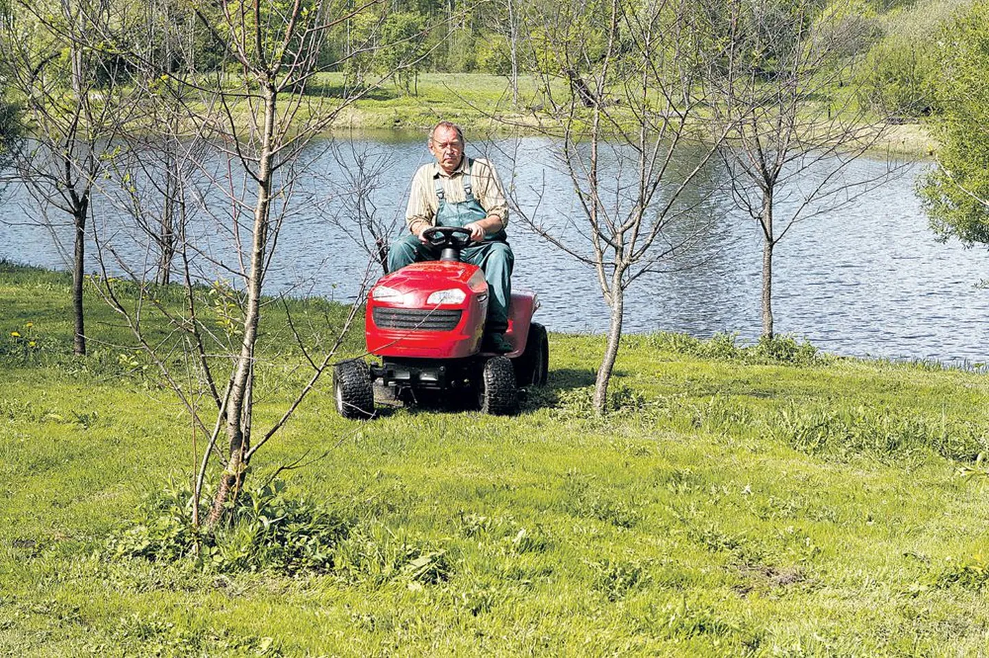 Haridusosakonna skandaali tõttu Tartu abilinnapea ametist tagasi astunud Jüri Sasi on poliitilisest elust kõrvale tõmbunud ja veedab aega talukohas tööd rabades. Niidab muru, kaevab maad, paneb porgandit, hoolitseb marjapõõsaste eest. Nii ta intervjuus loetleb.