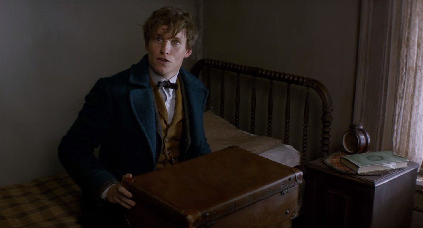 Kaader filmist Fantastic Beasts and Where to Find Them