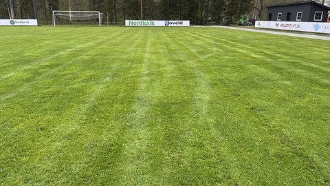 VIIS AASTAT LÖÖMATU ⟩ Paide abitreeneri endine töökaaslane on maailmarekordi lävel