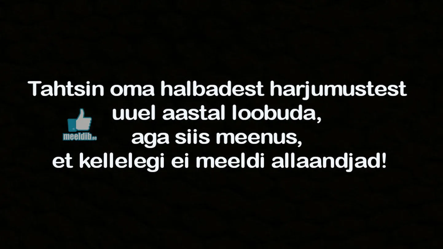 Artikli foto