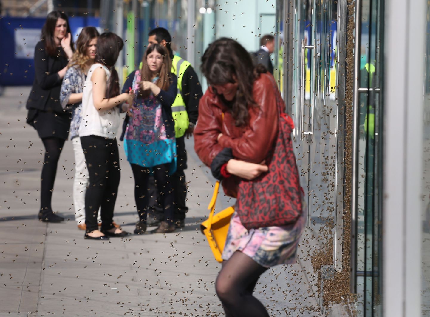 A woman huddles up as she walks past a swarm of about 5,000 honeybees that have been attracted to a discount sign on the window of a shop in central London, Friday, May 16, 2014, turning the fashion store display into a carpet of insects. It is understood the unusual nesting place was picked by the Queen bee, who landed there first and was quickly followed by her devoted colony. (AP Photo/PA, Philip Toscano)  UNITED KINGDOM OUT  NO SALES  NO ARCHIVE / TT / kod 436