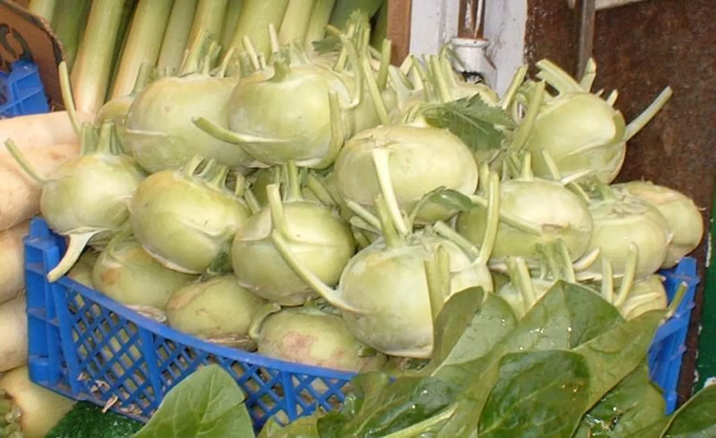 Кольраби