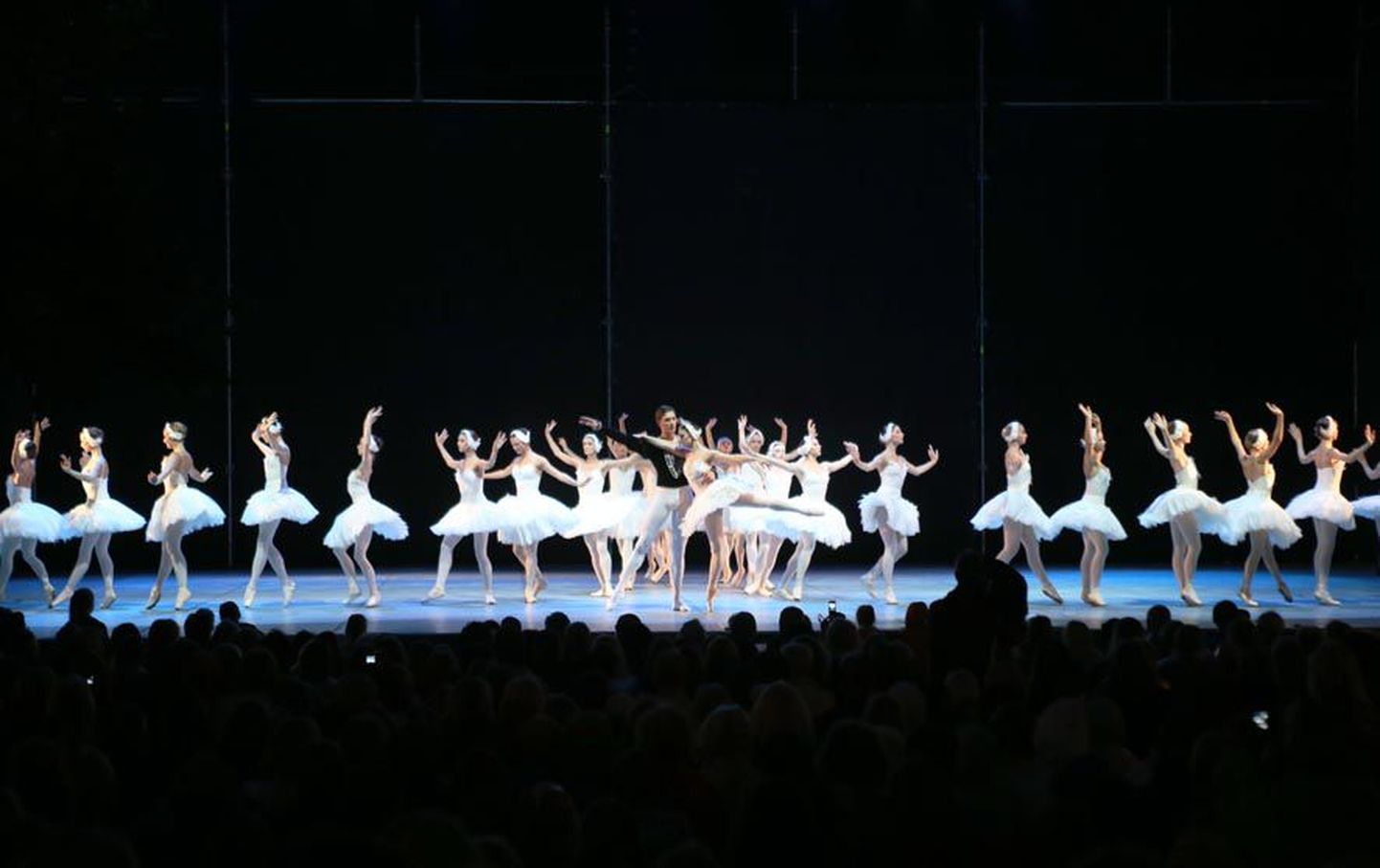 Rahvusballett koos Läti Rahvusballetiga etendasid Estonia välilaval balletiklassika «Luikede järve» selliselt, et korraga viibis laval 100 luike.