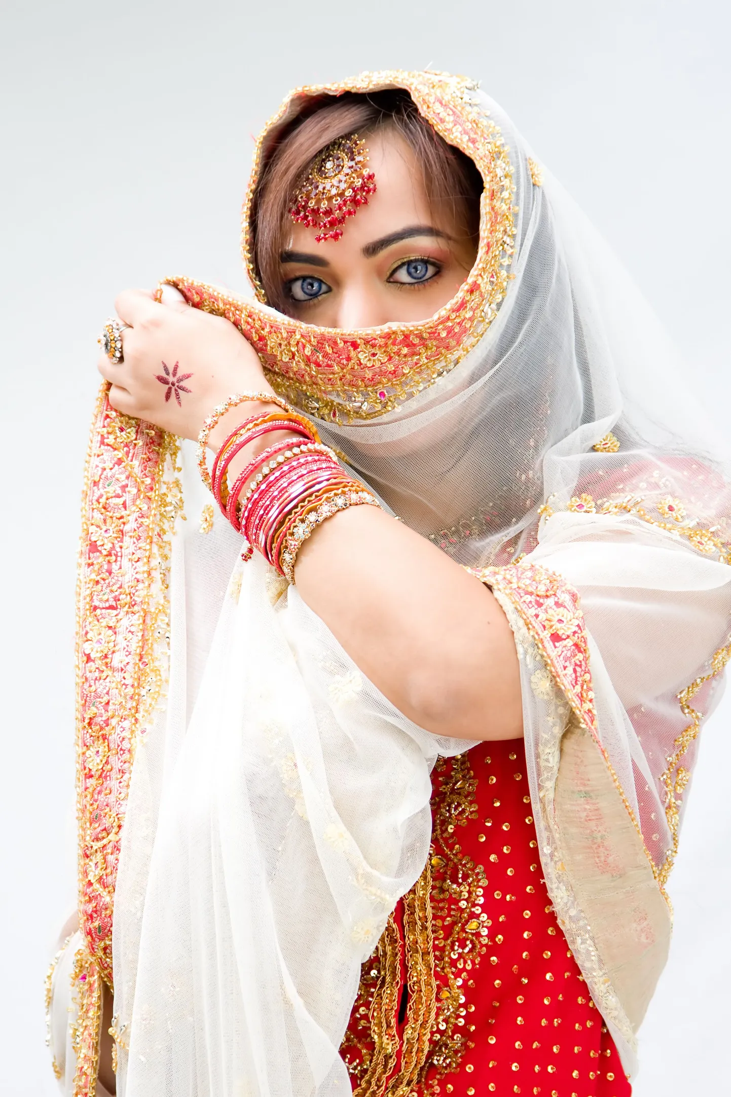 Indialanna (Pilt on illustratiivne)