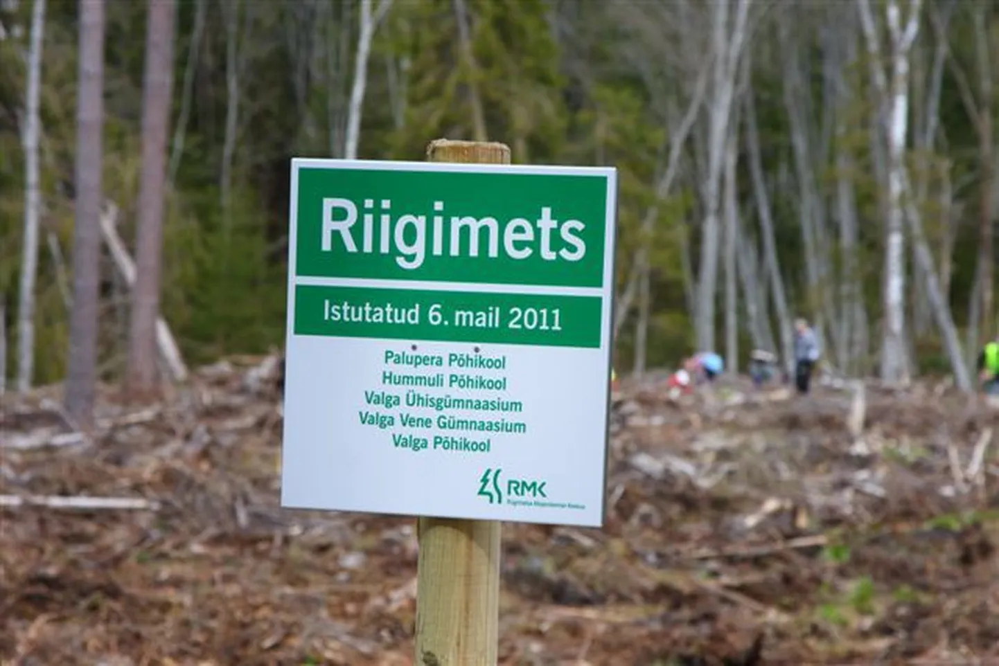 Metsa istutamine Tõlliste vallas.