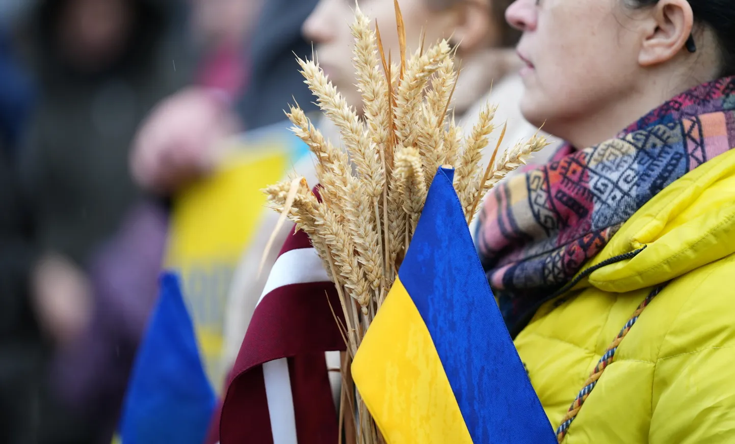 Латвия и Украина. Иллюстративное фото