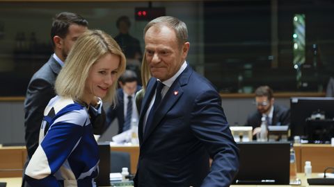 Poola peaminister toetab Kallase kandidatuuri ELi välispoliitikajuhiks