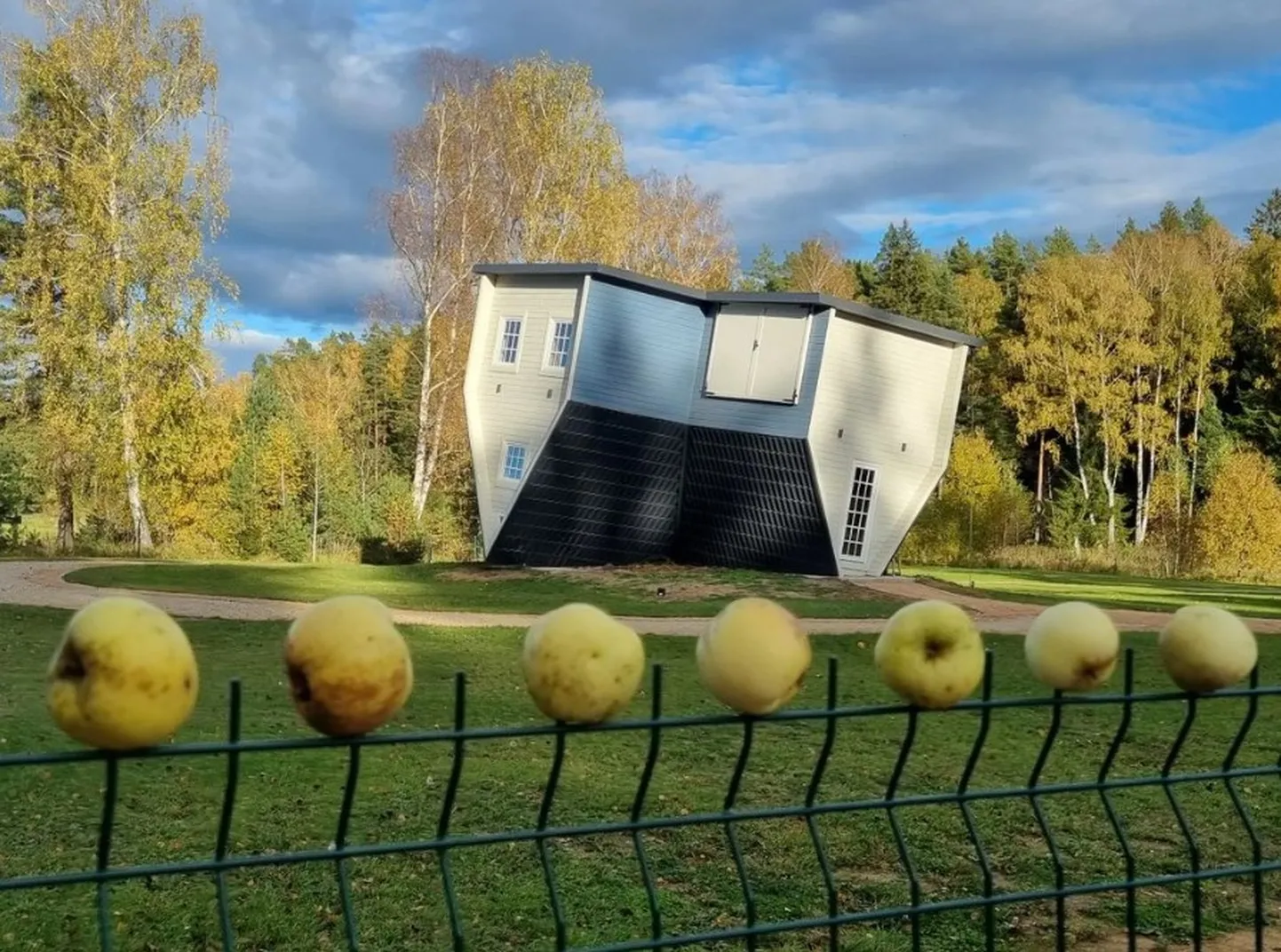 Фото статьи
