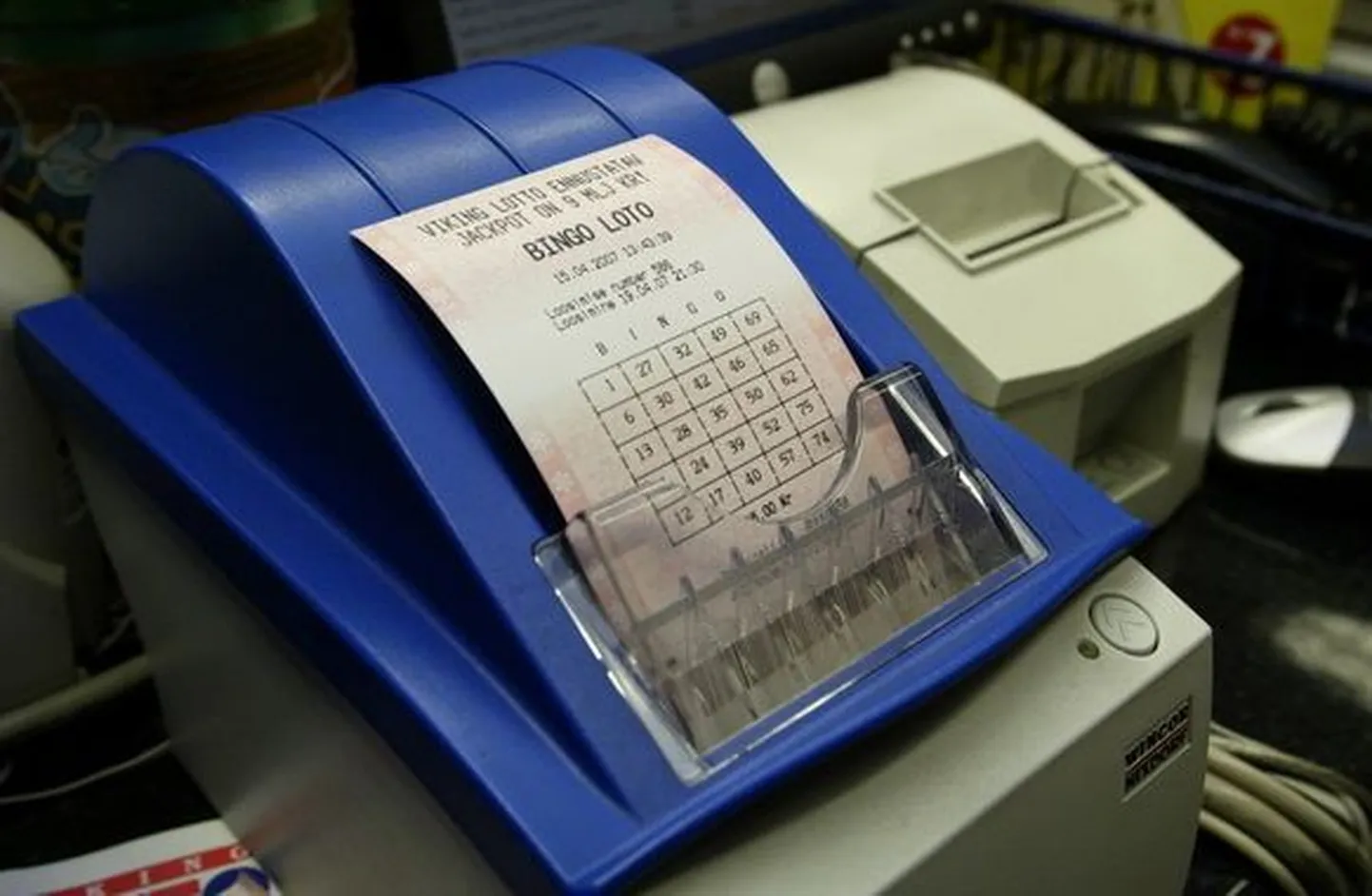 Bingo Loto pilet