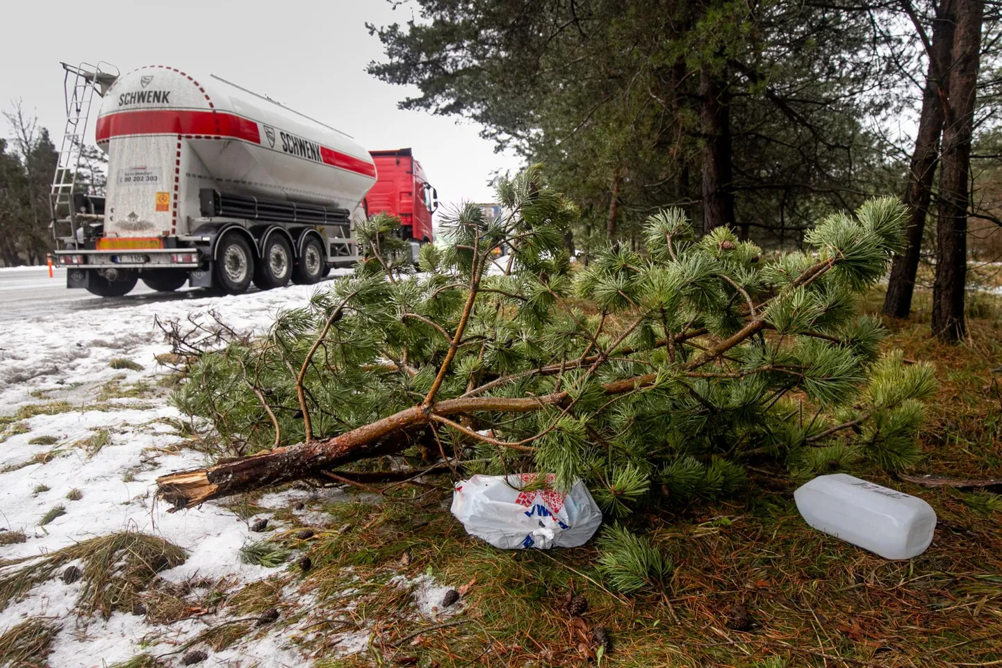 Parklatesse plaanitakse paigaldada senisest väiksemad, kuid looma- ja linnukindlamad prügikastid.