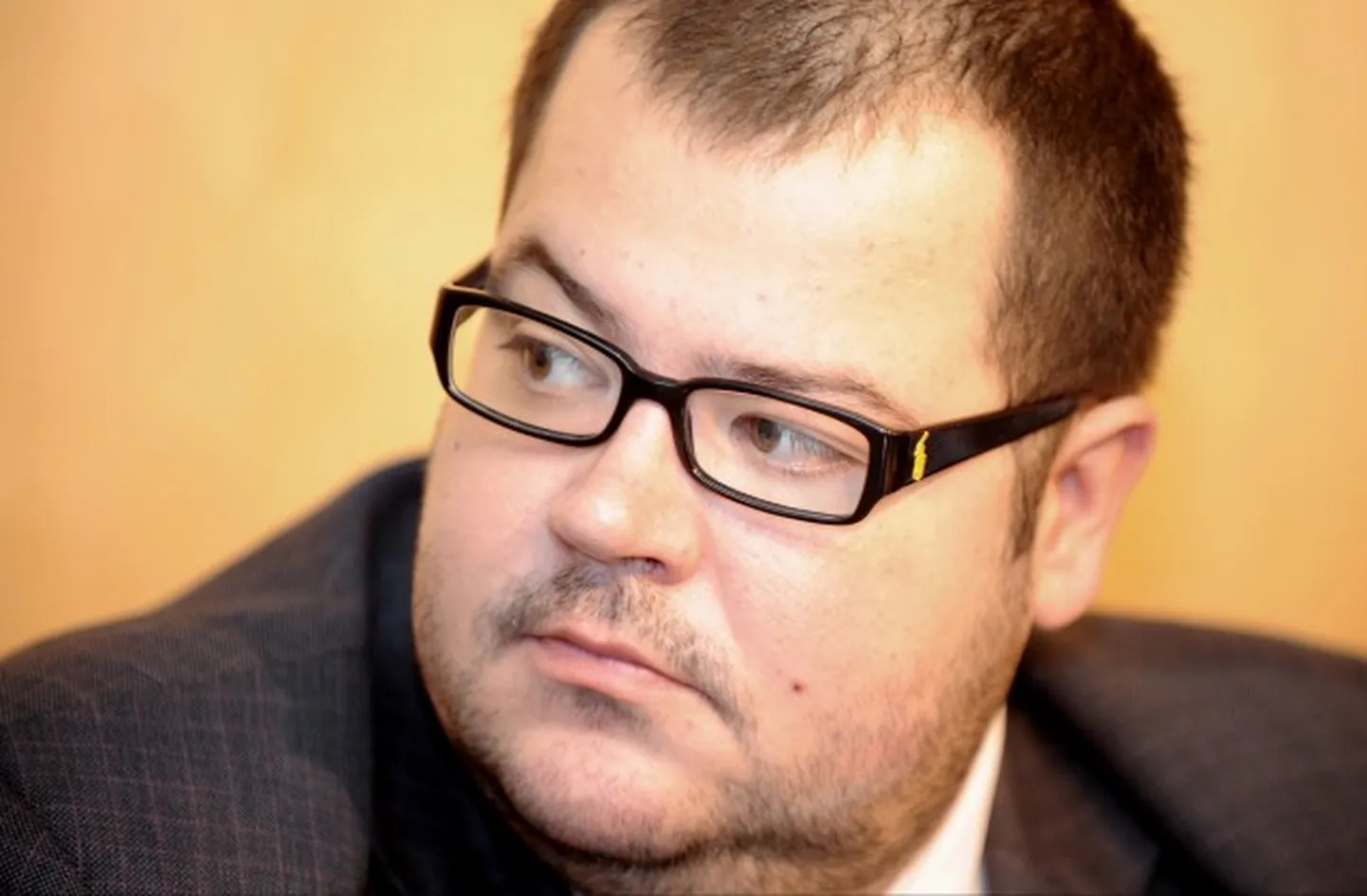 Raksta foto