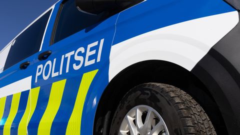 Politsei pidas Pärnumaal kinni arvatava metallivarga